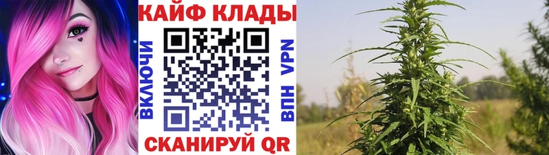 Наркотические вещества Находка МАРИХУАНА Меф мяу мяу СОЛЬ ГАШИШ OMG вход Cocaine